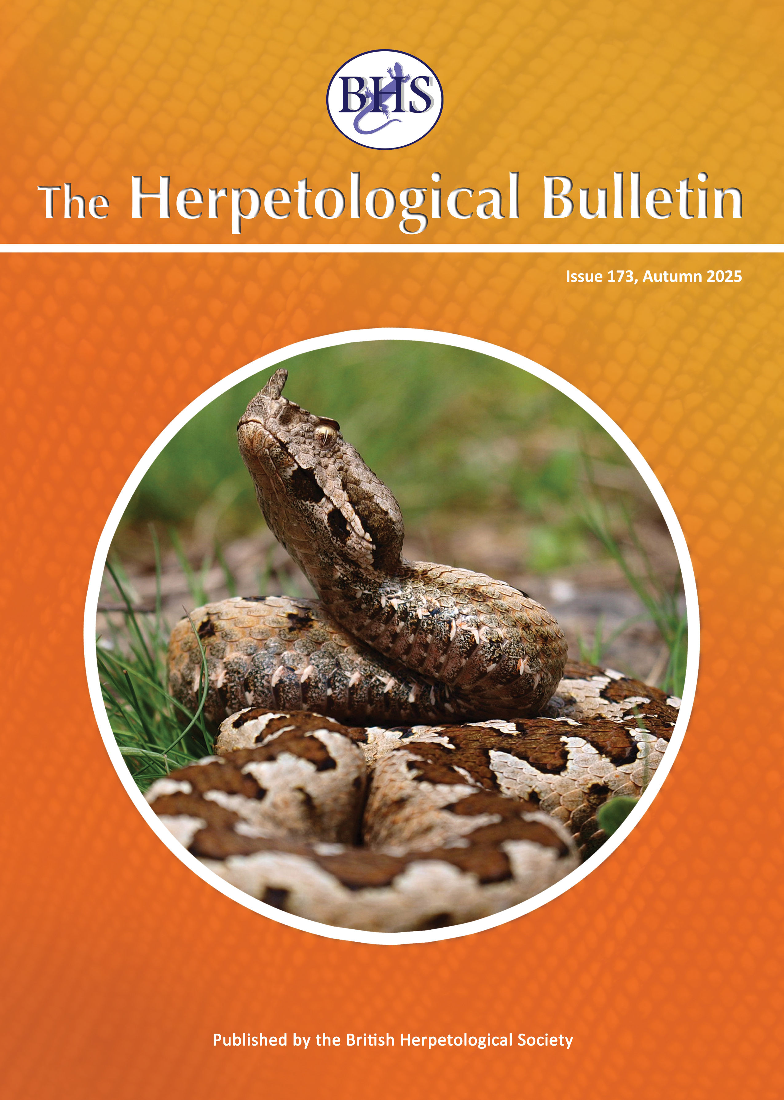 Issue Number 173 - Autumn 2025