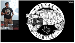Carl Franklin - the joys of invading the private lives of alligator snapping turtles